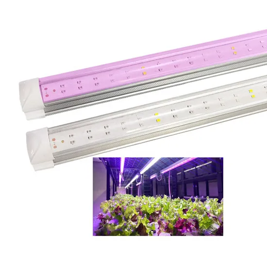 Meijiu Mini Hot Selling 240W LED Grow Light Samsung Lm301h Full Spectrum LED Light Bars